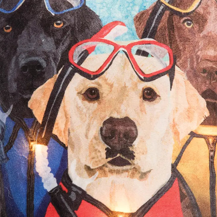 Dog Snorkel Led Doorstop