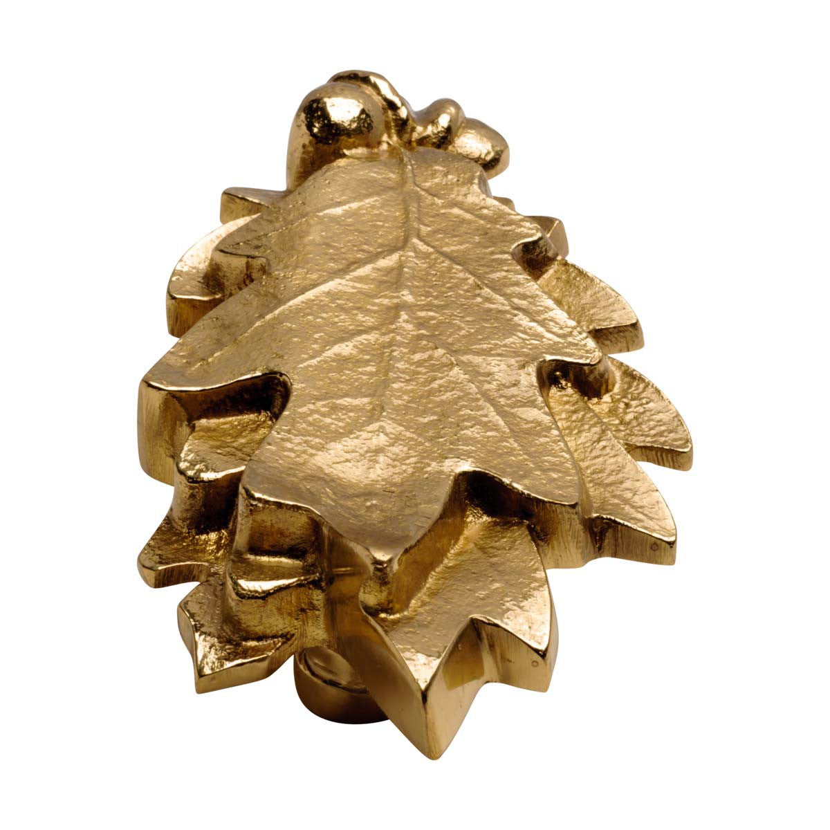Door Knocker Polished/Lacquered Brass Door Knocker Brass P/L Oak Leaf