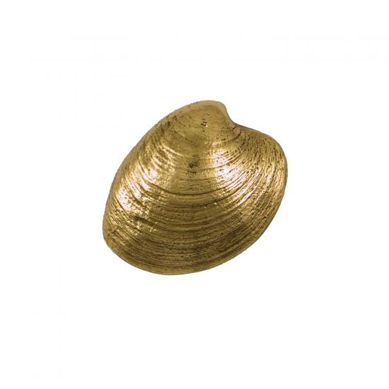 Quahog Door Knocker