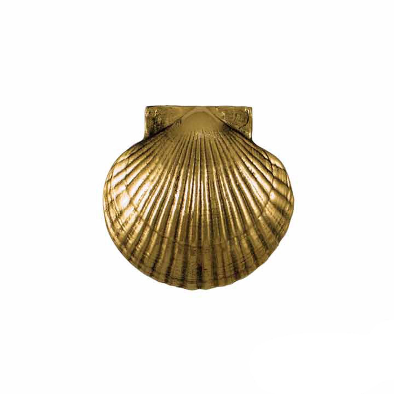 Scallop Door Knocker
