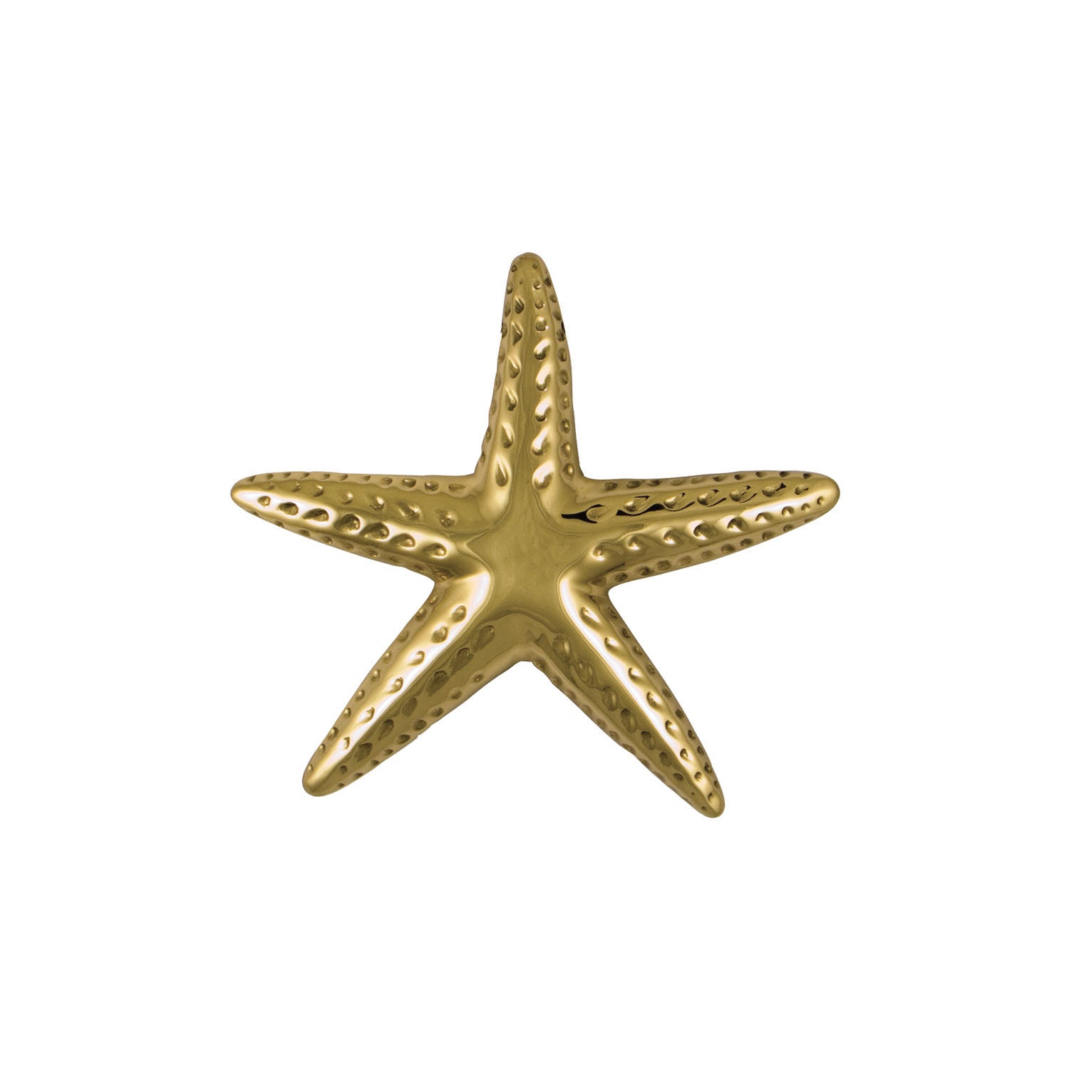 Starfish Door Knocker