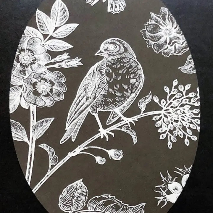 Bird & Butterfly- Window Cling Vinyl “Etched” Glass Dec