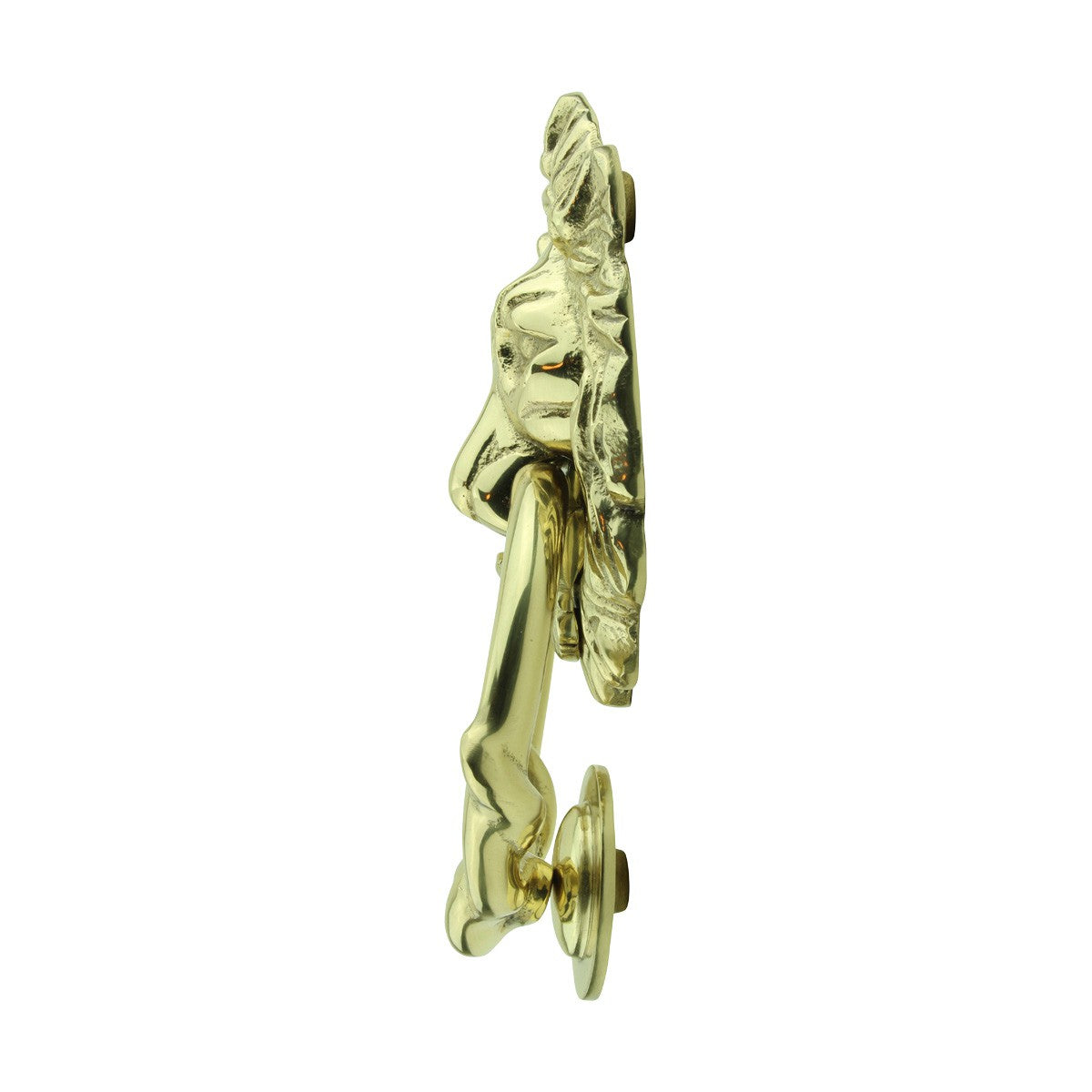 Door Knocker Polished/Lacquered Solid Brass Lion Door Knocker