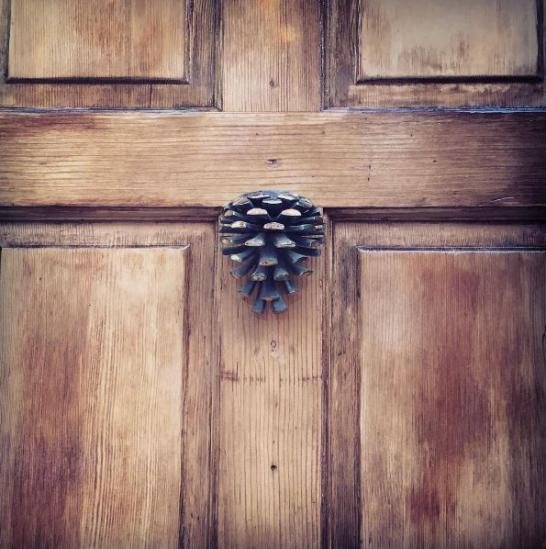 Pinecone Door Knocker