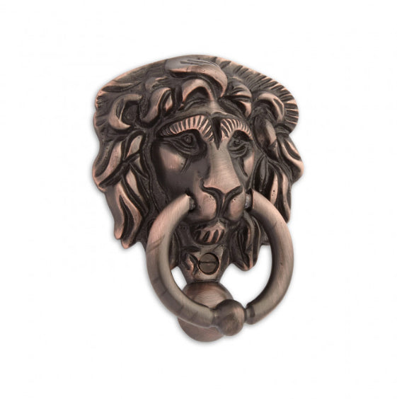 Small Brass Lion Door Knocker