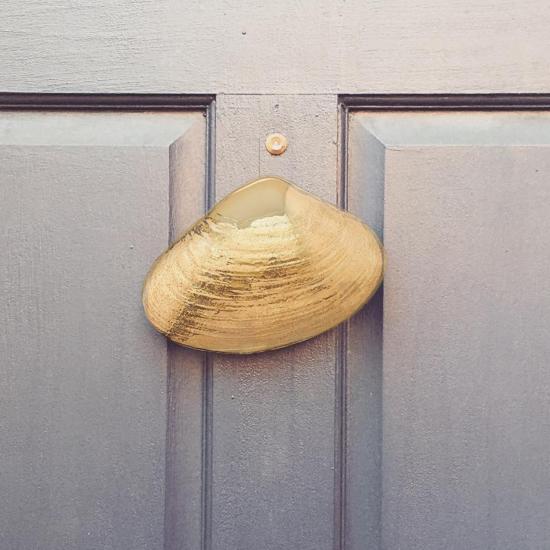 Surf Clam Door Knocker